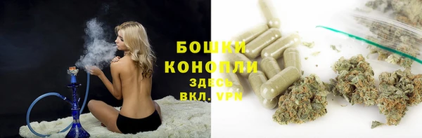 наркотики Белокуриха