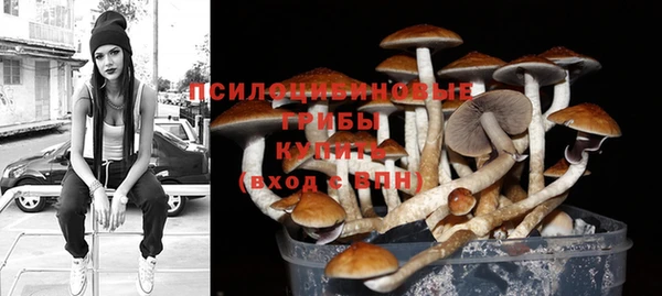 синтетический гашиш Гусев