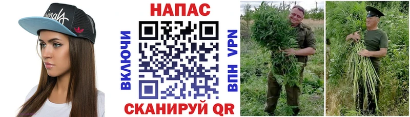 где продают наркотики  Первомайск  Марихуана White Widow 